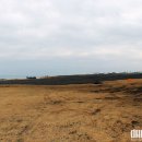 신천목장 이미지