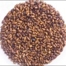 좋은안경원 이미지