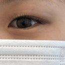 헬렌뷰티 | 경기 파주) 파주 속눈썹 잘하는 곳, 립새로움래쉬