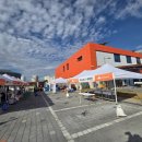 완주로컬푸드협동조합 | 완주로컬푸드 김장체험한마당 진행