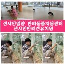 단장면 반려동물지원센터 | 션샤인밀양 반려동물지원센터 션샤인반려견유치원