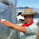 종지농장 이미지