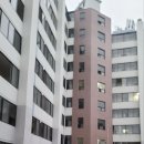 경기도 수원시 장안구 수성로275번길 네이버블로그