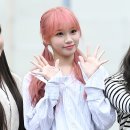 핑크헤어 이미지