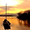 강변의 숲속 이미지