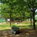 둔배미놀이(무형) 이미지