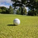 에이스GDR아카데미 이미지