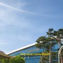 과학아지트 | [엄마표체험학습]2026 과학의 달, 국립과천과학관 'AI와 함께하는 과학축제' 생생 후기!