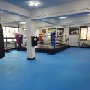 강북권투 이미지