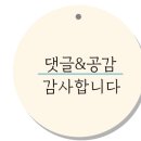 3849꼬마김밥속초점 이미지