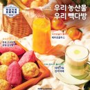 빽다방춘천온의점 | 빽다방 메뉴 추천 가격 신메뉴 제주감귤주스 춘천 빽다방 온의점