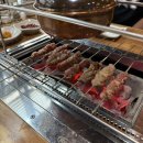 나성동 숙성 양꼬치 맛집 한성양꼬치 양갈비