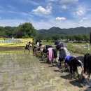 고서초등학교 이미지