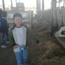 금와농장 이미지