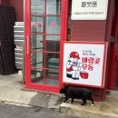 외도널서리 이미지