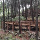 산음자연휴양림 이미지