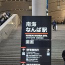 일본 오사카 여행 :: 간사이-인천 대한항공 KE724 / 탑승후기, 기내식 + 간사이공항 푸드코트, 라피트열차