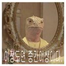 다단 | [쏜직한후기] 멀티 안티에이징 케어 : 다단 발효로 압도적인 효능 : 달항아리 발효 앰플