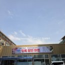 365마트정육 네이버블로그