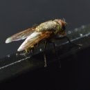 공동당구구역 이미지