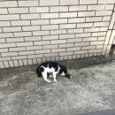 CU 완도청산도점 이미지