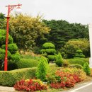 예당관광지 국민여가캠핑장 이미지