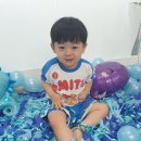 리사앤플라워