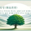 독야청청(獨也靑靑) 이미지