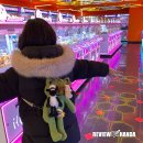 와와리저브 이미지