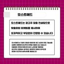 모스트애드 이미지