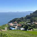 남해-302 이미지