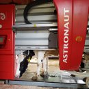 성공목장 이미지