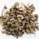 바른선한의원 이미지