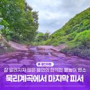 송정천 | 잘 알려지지 않은 용인의 한적한 물놀이 명소 묵리계곡