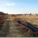 읍사무소앞 이미지