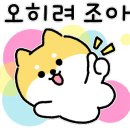 선비꼬마김밥대구 이미지