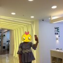 연세가지런e치과의원 이미지