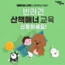 올바른 반려견 보호자 교육 이미지