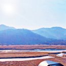 찌개나라 가흥점 | [출사(出寫)] 한탄강 두루미 탐조대 3편/강원특별자치도 철원군 동송읍 양지리 (철원두루미잠자리 등...