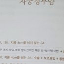 자궁경부암 2기, 2년 후 폐암 전이 환우의 암 극복 체험 후기 /황성주 생식/사랑의병원