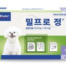 독     정 이미지