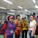 신흥사슴농장 이미지