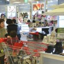 토탈패션 이미지