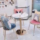 뽀숑그루밍 이미지