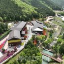 치유의숲 이미지