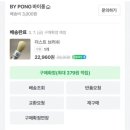 바이퐁