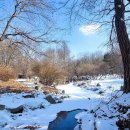 도란도란 이미지