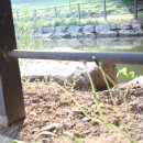 민들레공인중개사사무소 이미지