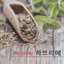 인터뷰헤어클리닉 네이버블로그