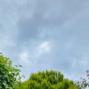 작약꽃 펜션 이미지